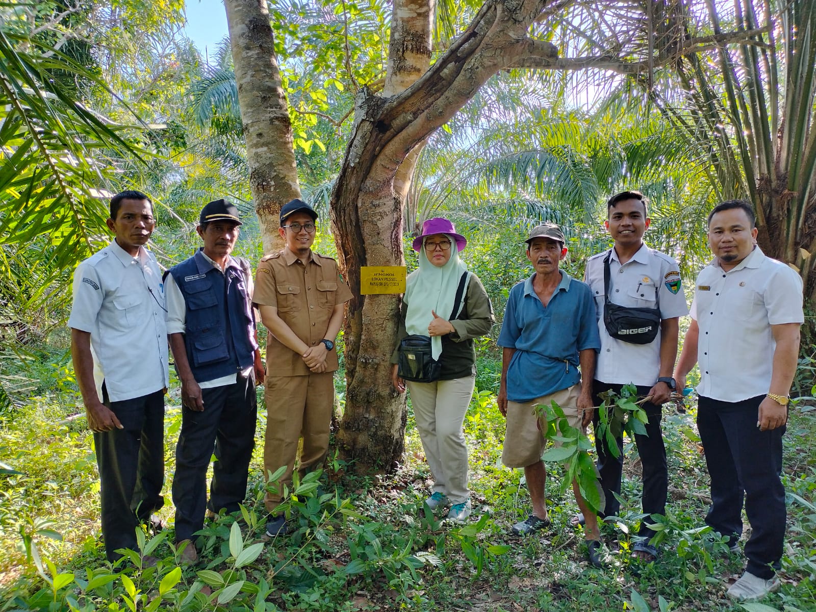 Jengkol Terenak di Indonesia