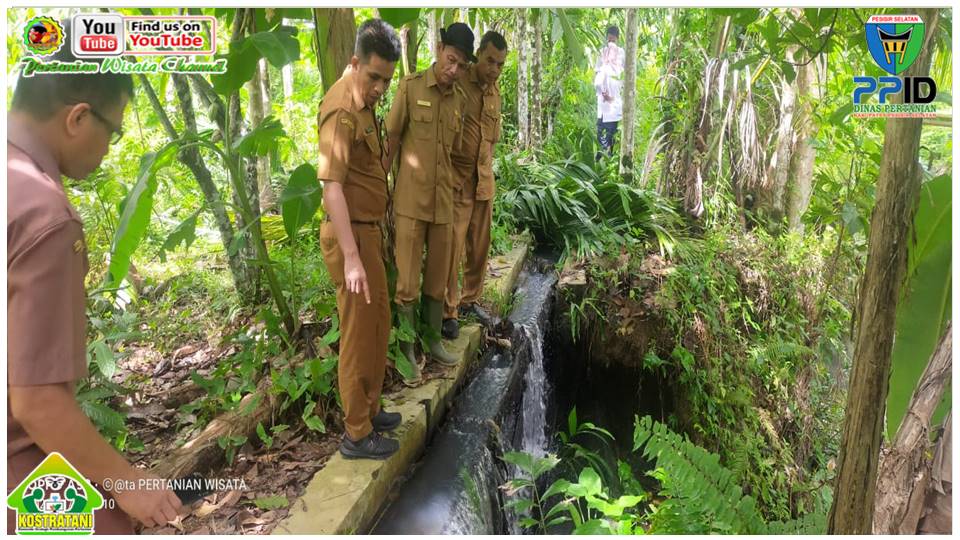 KEPALA DINAS PERTANIAN KUNJUNGI KERUSAKAN IRIGASI TERSIER DI KAPUH, KOTO XI TARUSAN 