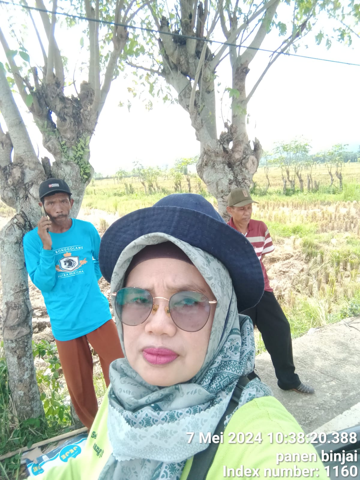 PASCA PANEN TANAMAN PADI SAWAH 