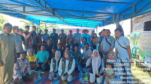 Kabid Penyuluhan Menghadiri Pencanangan Tanam Serentak Poktan Beringin Lunang