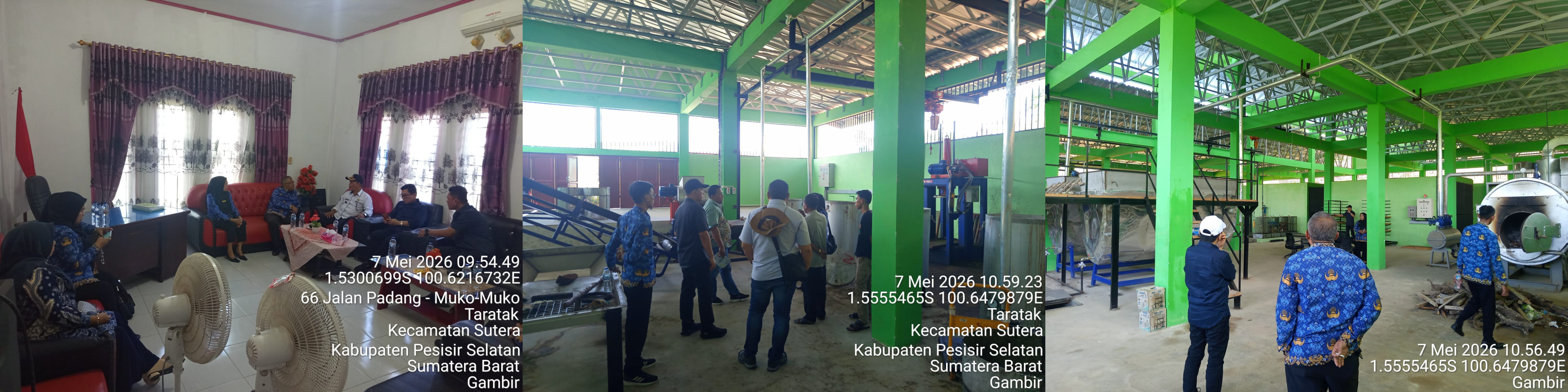 Memperbaiki  Tatakelola Komoditas Gambir, Mentan tugaskan PTPN IV