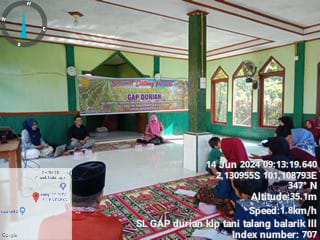 PANEN DAN PASCA PANEN DURIAN KELOMPOK TANI TALANG BALARIK III