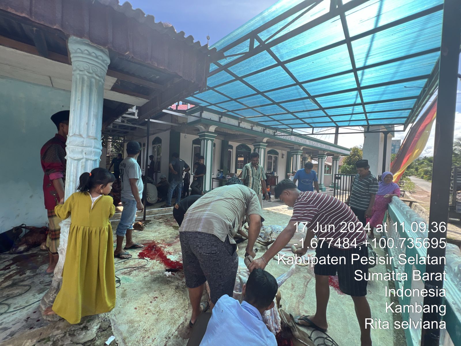 Rekapitulasi pemotongan ternak hari raya idul adha 2024 kecamatan sutera dan lengayang