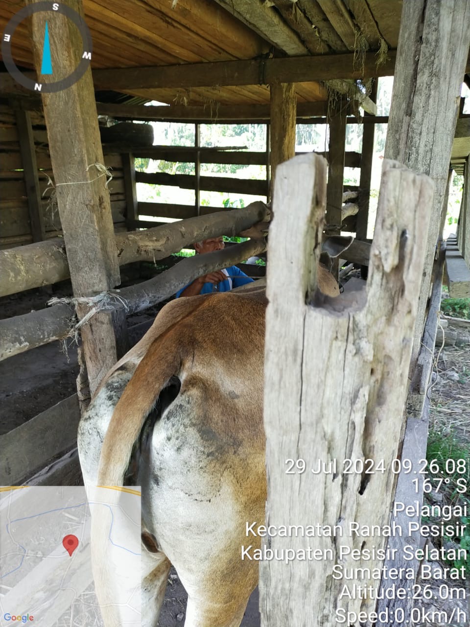 Pelayanan lapangan IB ( inseminasi Buatan)