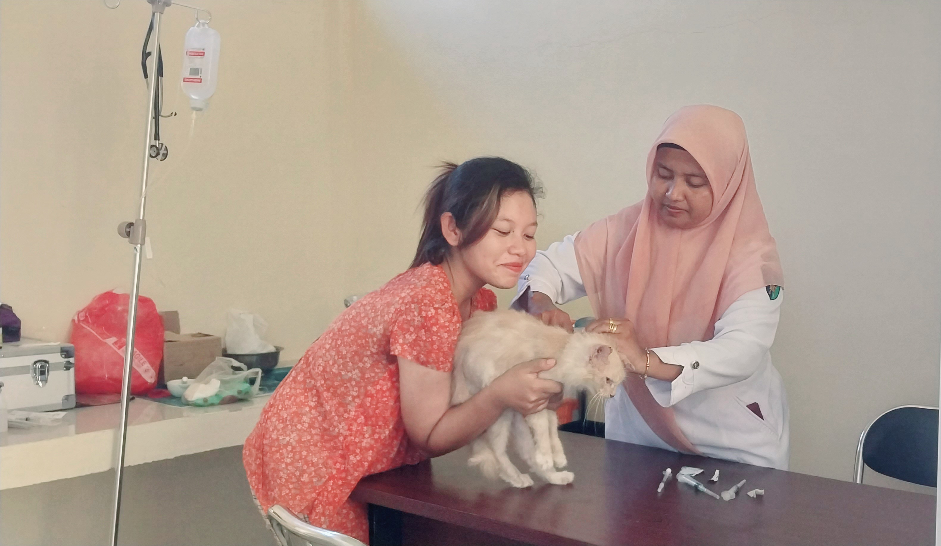 Waspadai Infeksi Calcivirus Menyerang Anabul Kesayanganmu di Kecamatan Silaut