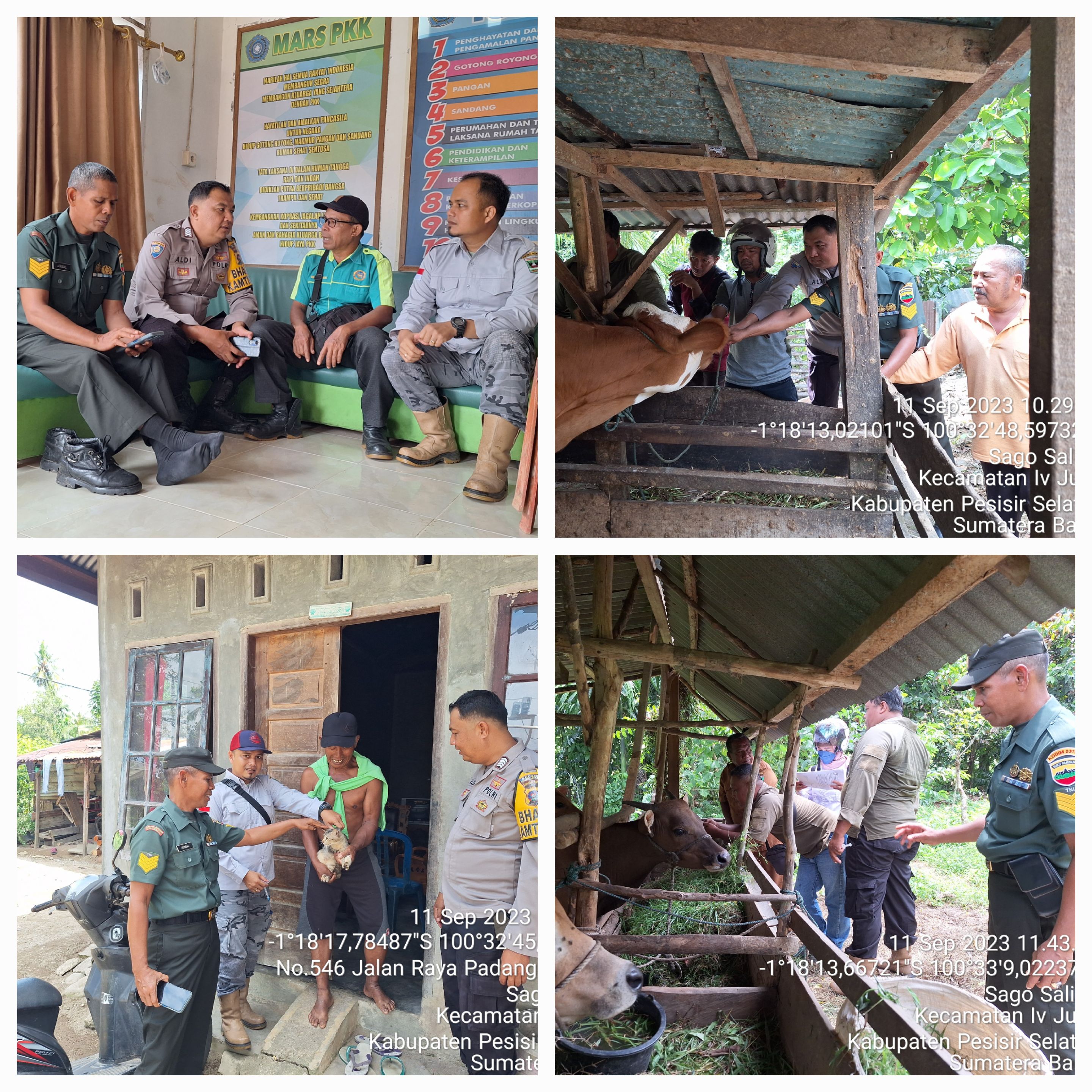 PELAKSANAAN VAKSINASI PMK DAN RABIES DI NAGARI SAGO SALIDO KEC. IV JURAI
