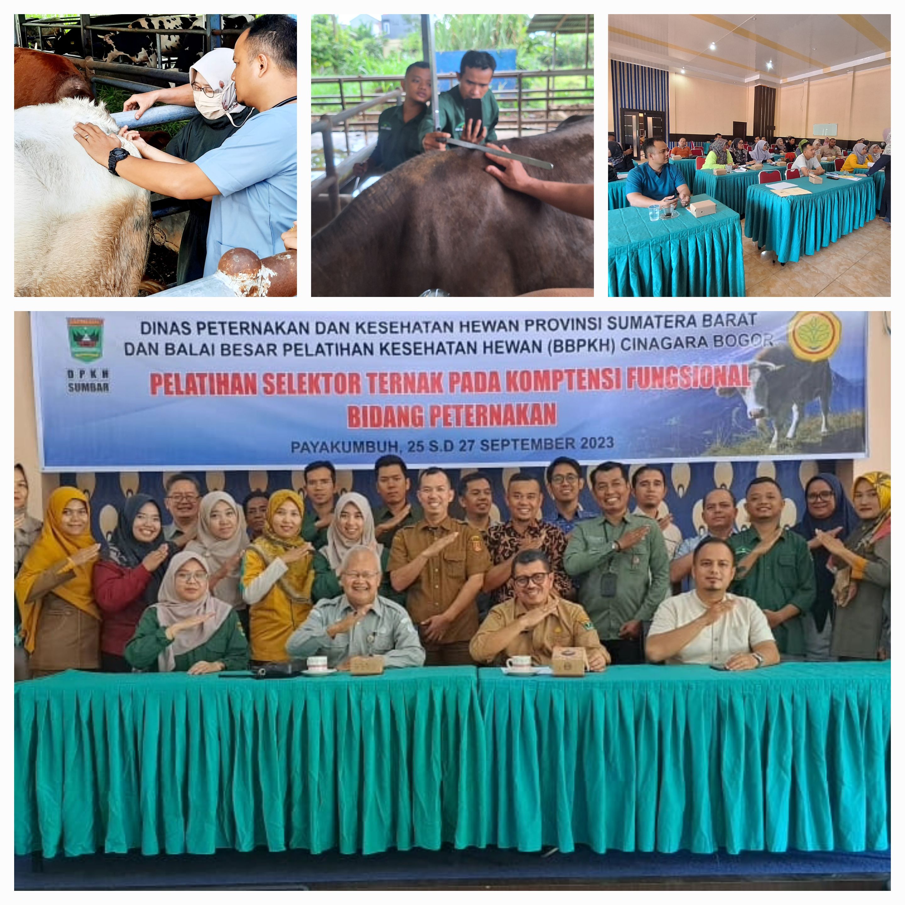 KEPALA PUSKESWAN PAINAN BERSAMA FUNGSIONAL PENGAWAS BIBIT TERNAK MENGIKUTI PELATIHAN SELEKTOR BIBIT 