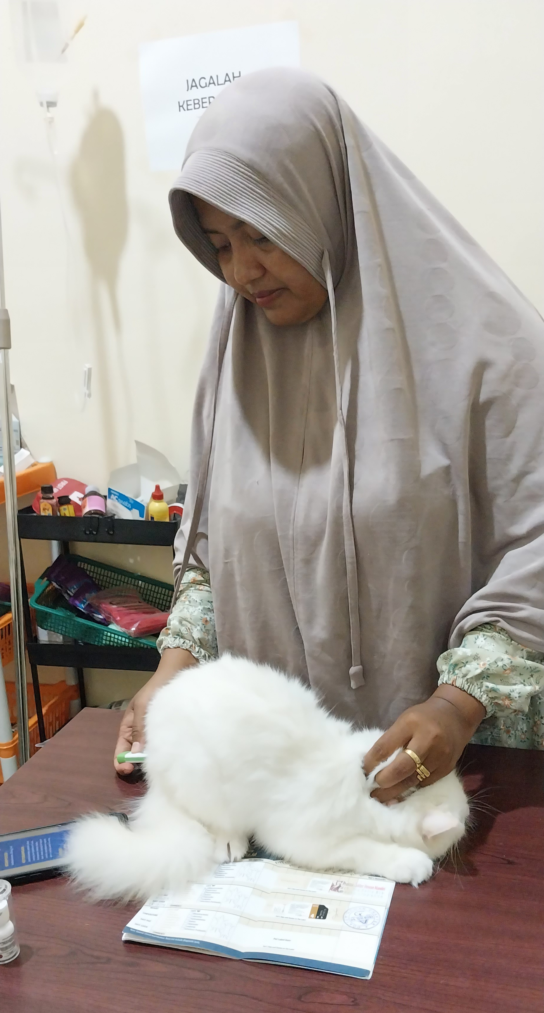 Pentingnya Vaksin Lengkap Anabul Kesayanganmu