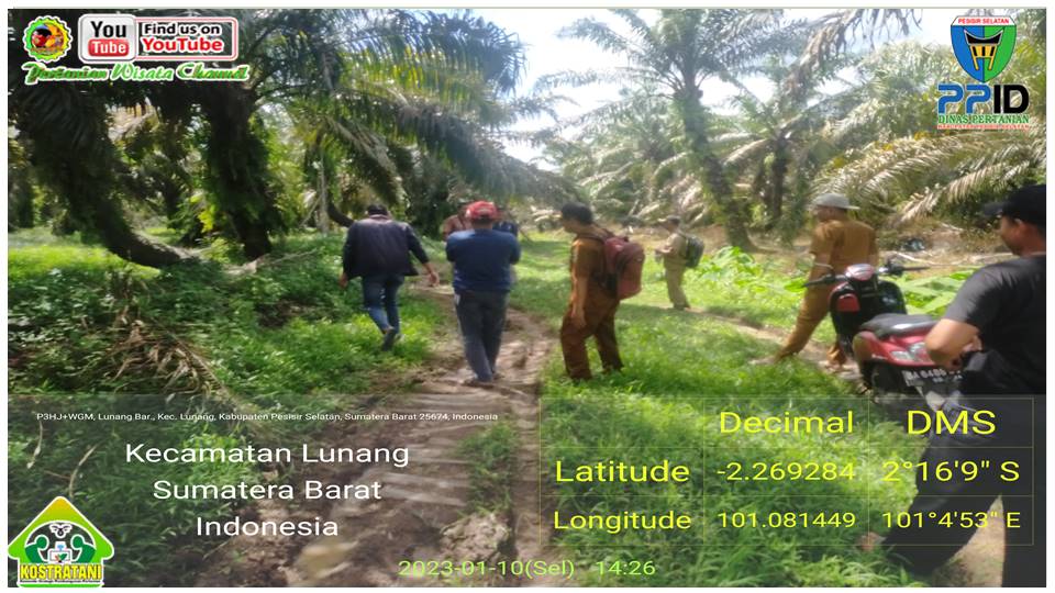 PENINGKATAN JALAN PERKEBUNAN KELAPA SAWIT KEGIATAN SAPRAS DITJENBUN DANA BPDPKS 