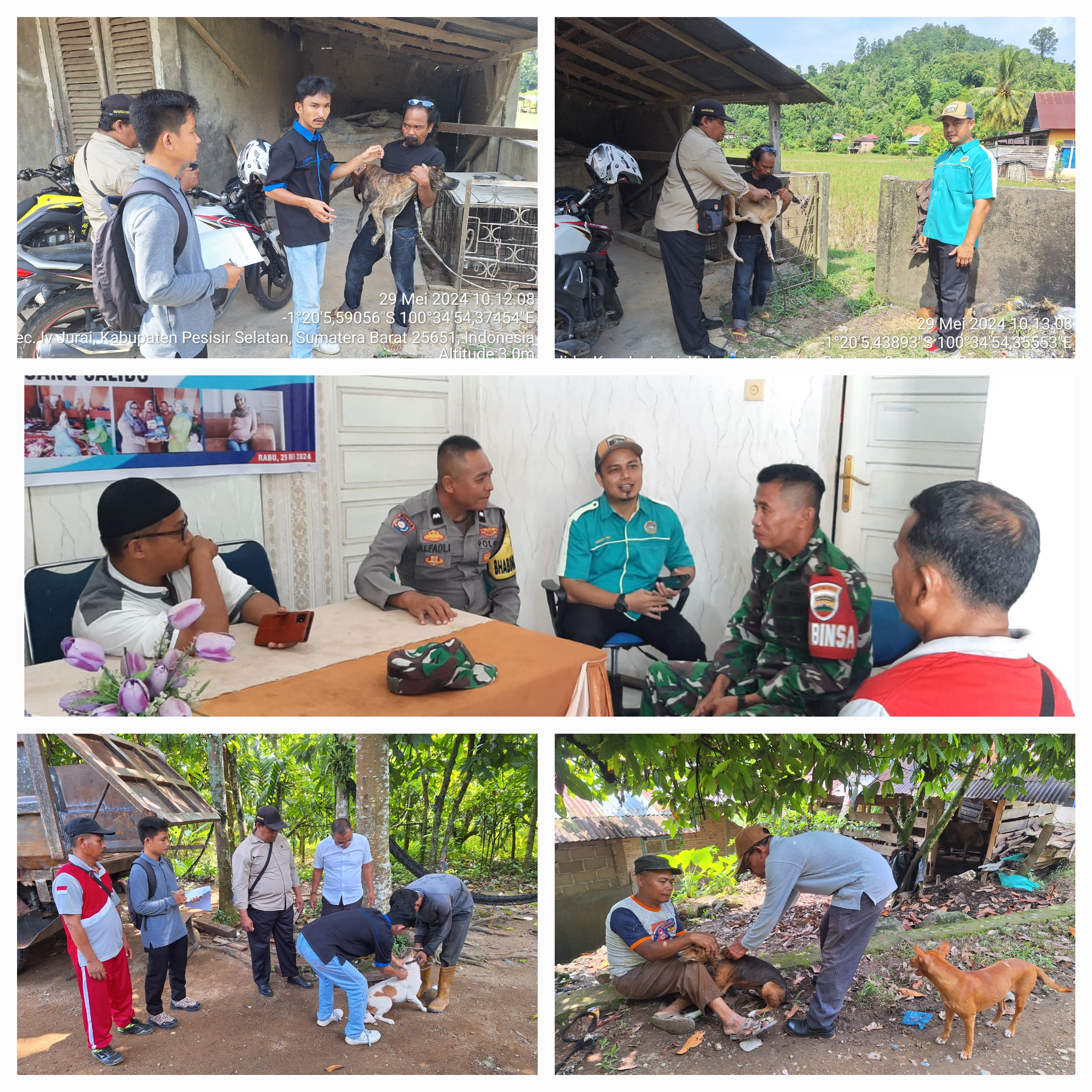 PELAKSANAAN VAKSINASI RABIES DI NAGARI BUNGO PASANG SALIDO KEC. IV JURAI