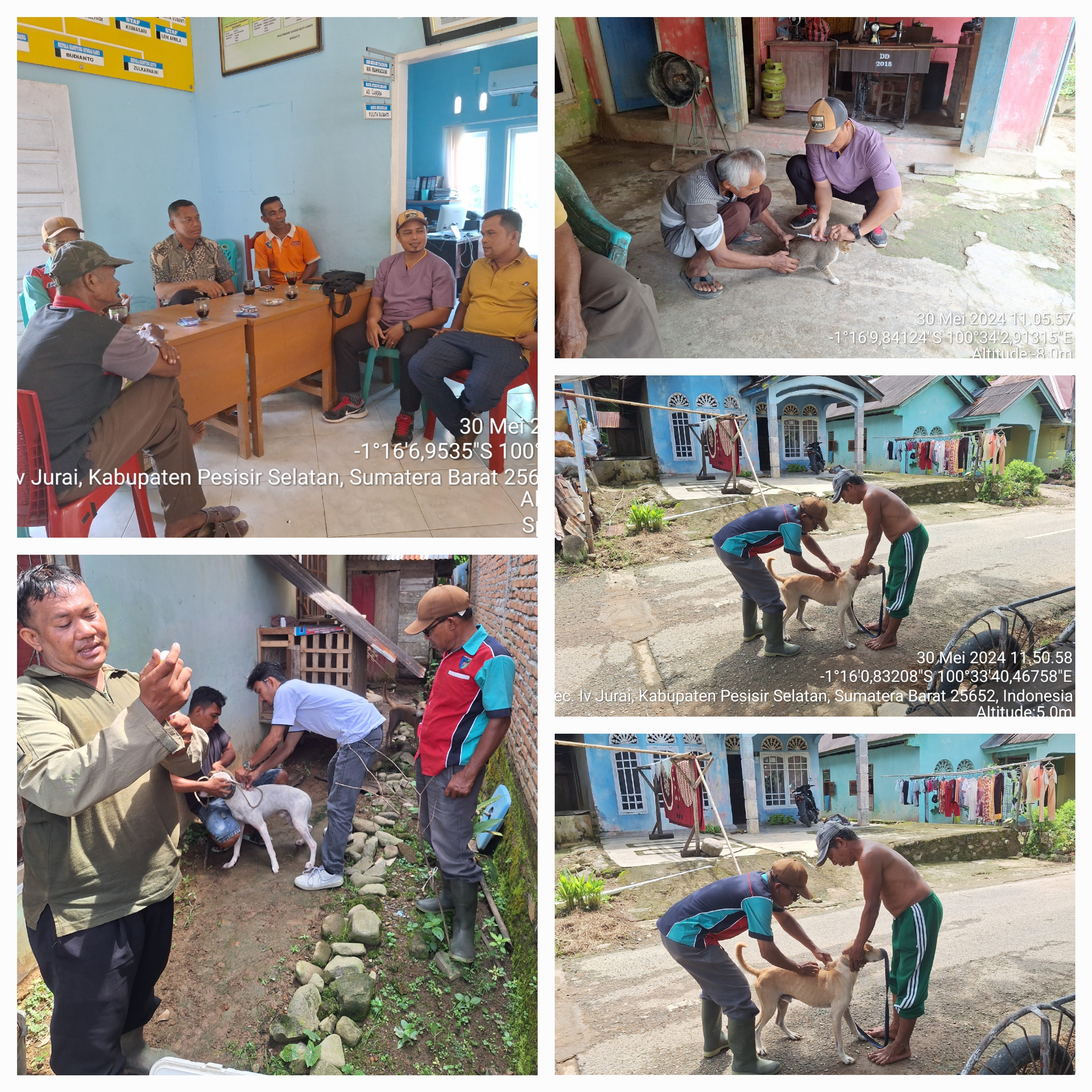 PELAKSANAAN VAKSINASI RABIES DI NAGARI SUNGAI GAYO LUMPO KEC. IV JURAI