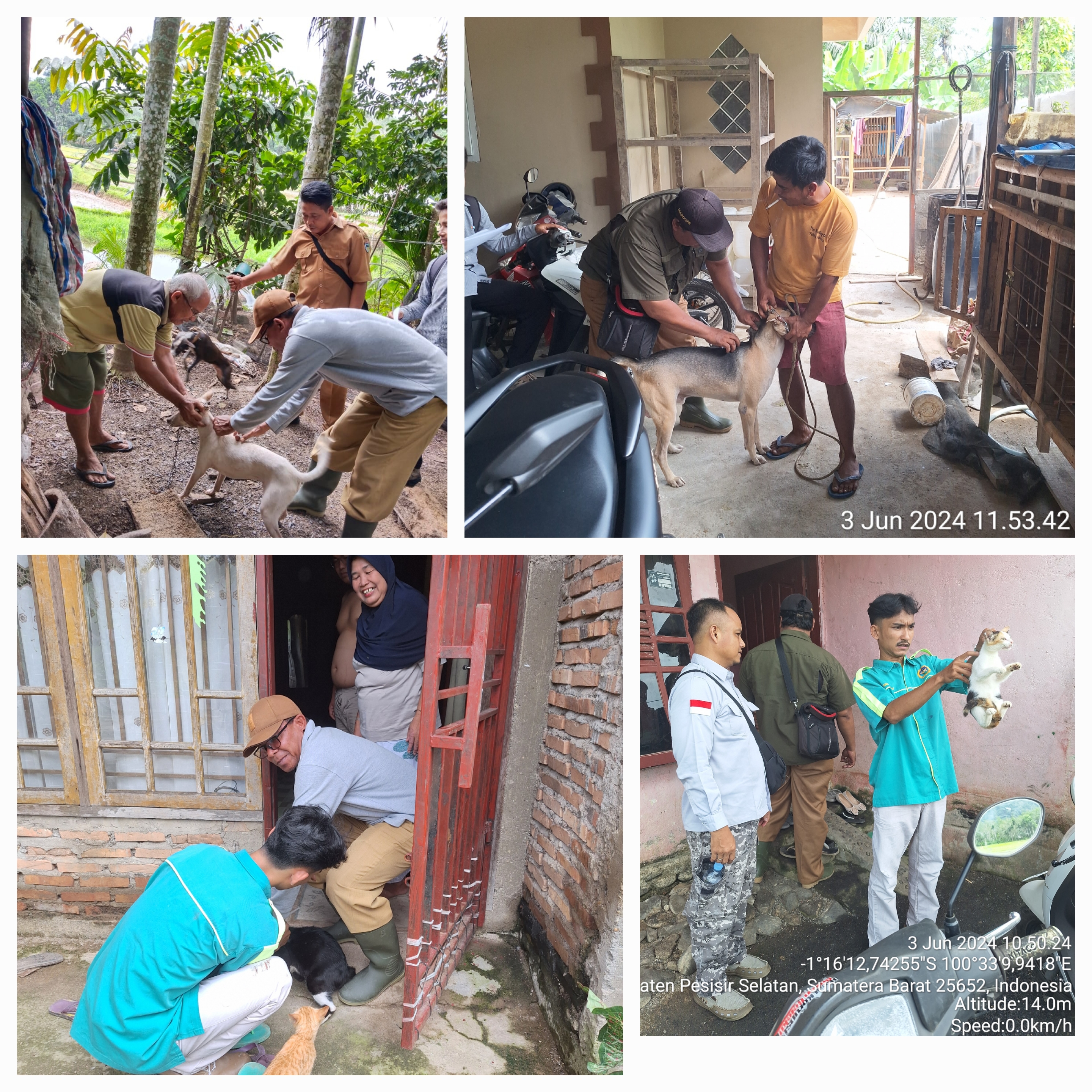 PELAKSANAAN VAKSINASI RABIES DI NAGARI BUKIT KECIL LUMPO KEC. IV JURAI