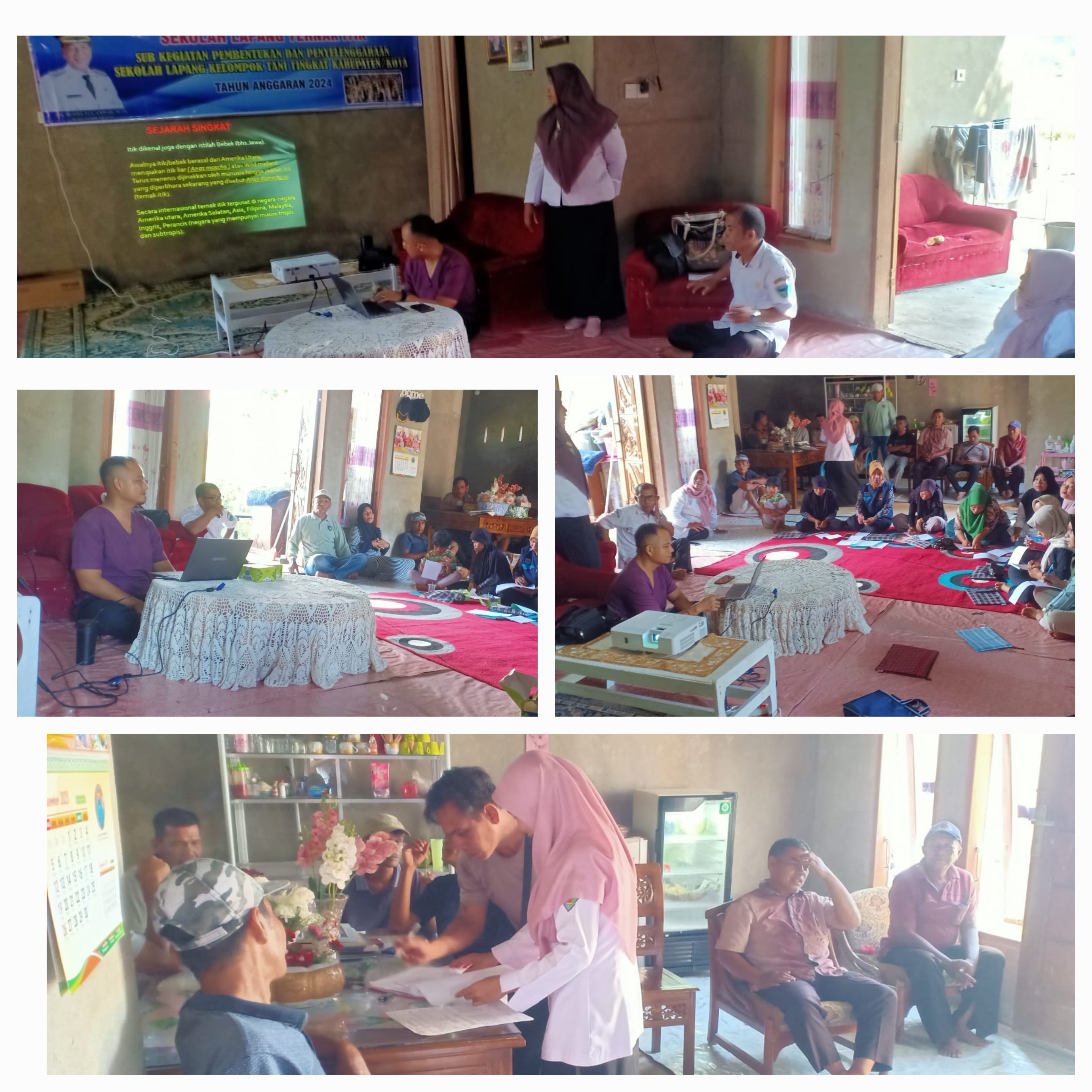 PELAKSANAAN SEKOLAH LAPANG KOMODITI TERNAK ITIK DI KELOMPOK “GADIH BASANAI” NAGARI AMPEK KOTO HILIE 