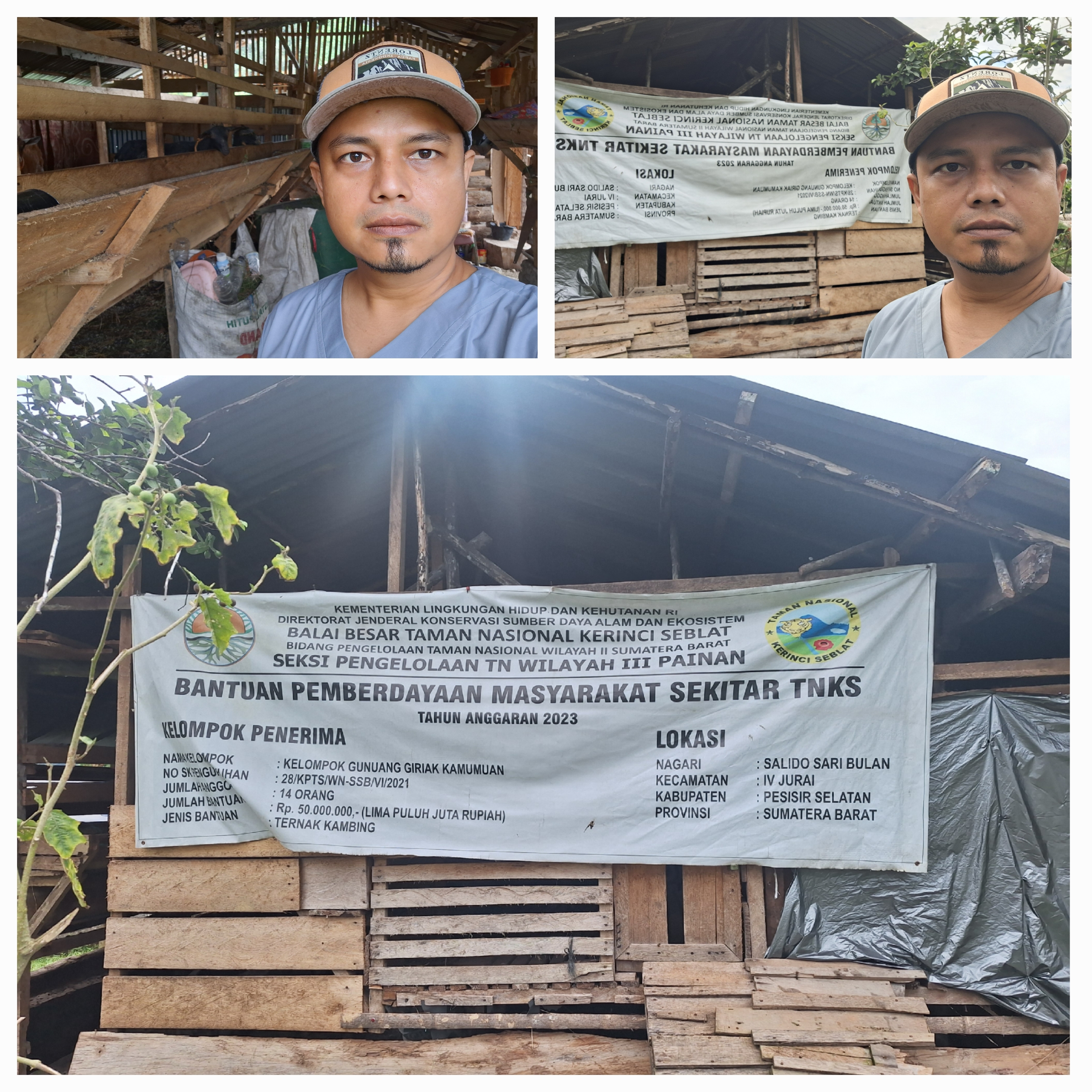 PENGOBATAN SCABIES PADA KAMBING KELOMPOK TANI HUTAN “GUNUANG GIRIAK KAMUMUAN”