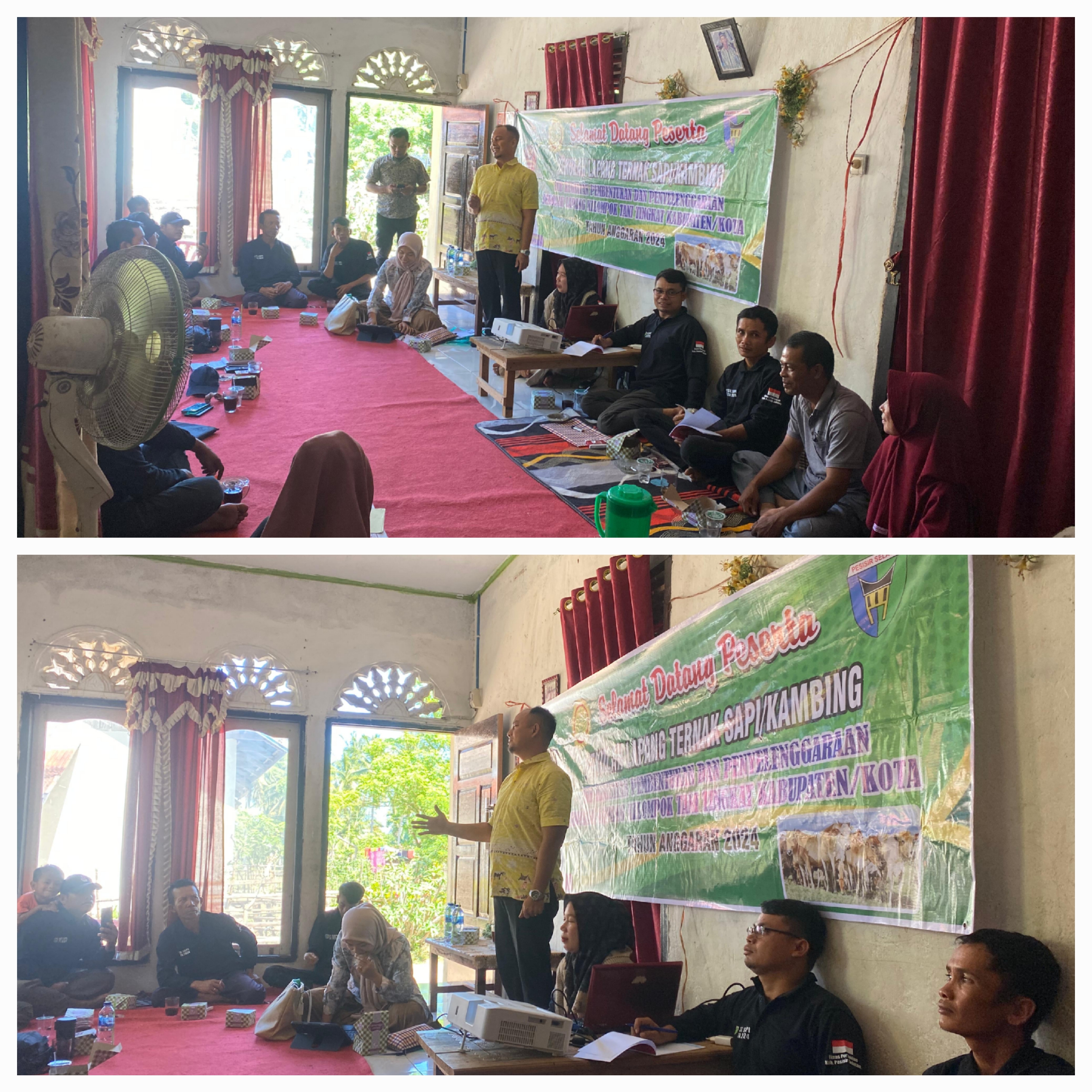 SEKOLAH LAPANG (SL) KOMODITI TERNAK SAPI DI KELOMPOK “KANDIS SAIYO” NAGARI MUARA KANDIS PUNGGASAN KE