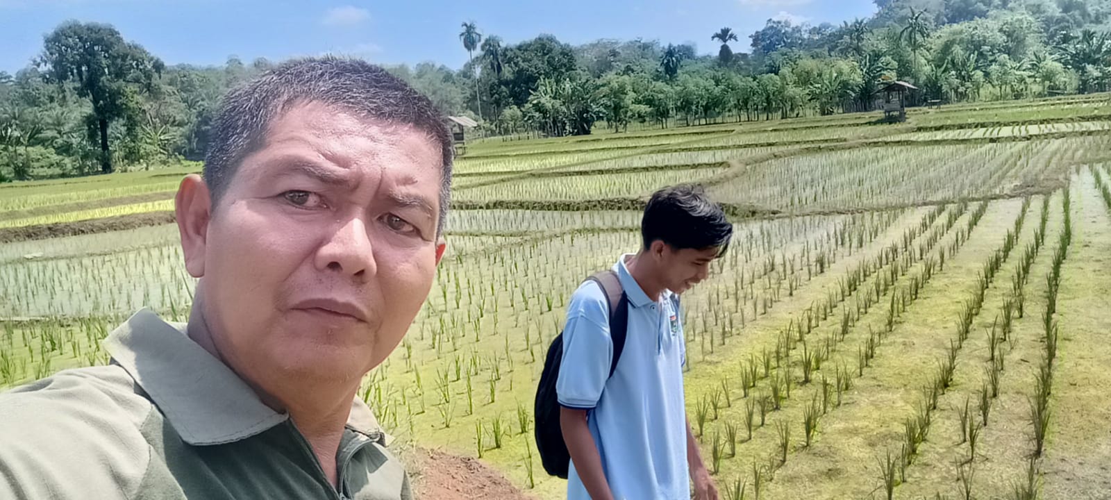 PENGENDALIAN OPT  PADI SAWAH KELOMPOK TANI RAWA NAGO KOTO KANDIH
