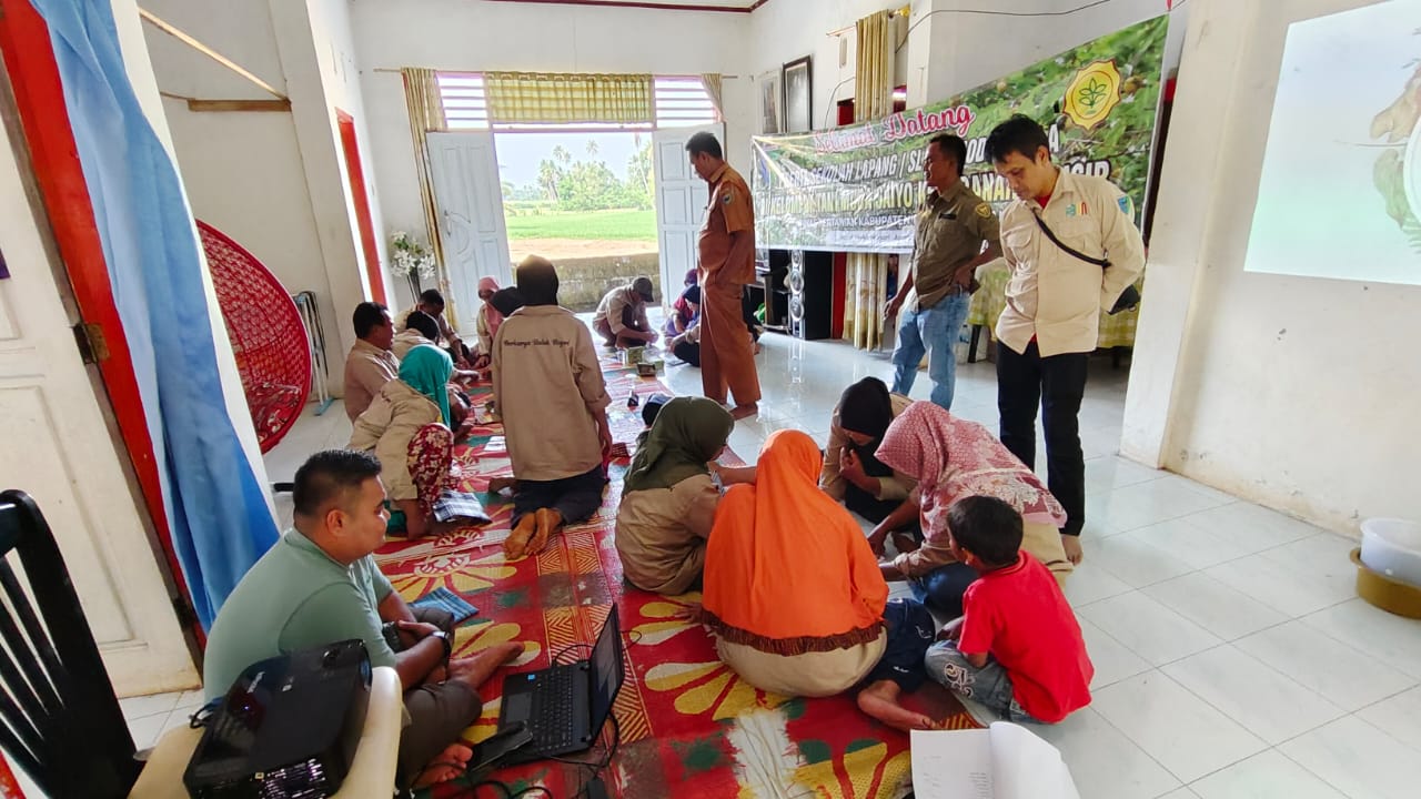 Sekolah Lapang Komoditi Kelapa  Tanggal  27 Juni 2024 di Kecamatan Ranah Pesisir