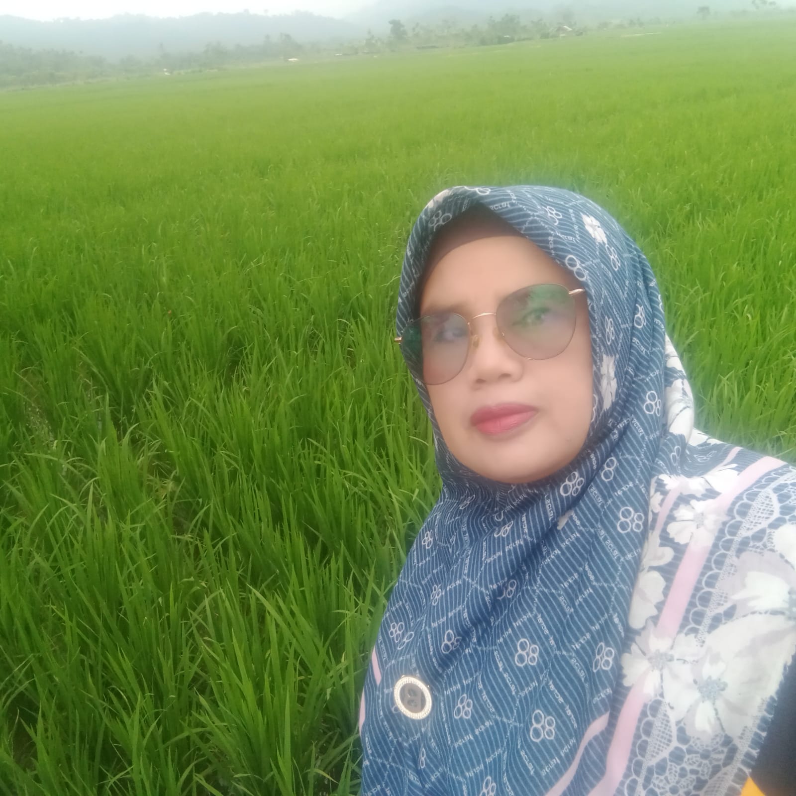 PENGAMATAN HAMA PENYAKIT PADI SAWAH KELOMPOK BANDAR LAMA II
