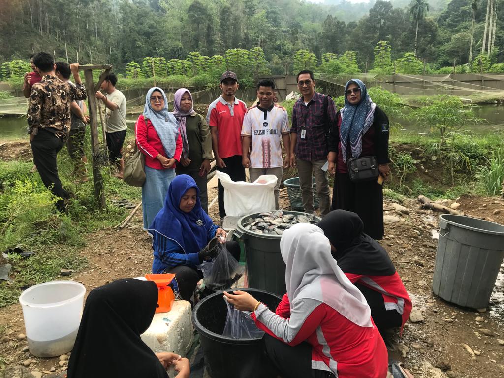 PANEN IKAN NILA DANA KETAHANAN PANGAN NAGARI SUNGAI GAMBIR SAKO KECAMATAN RANAH AMPEK HULU TAPAN