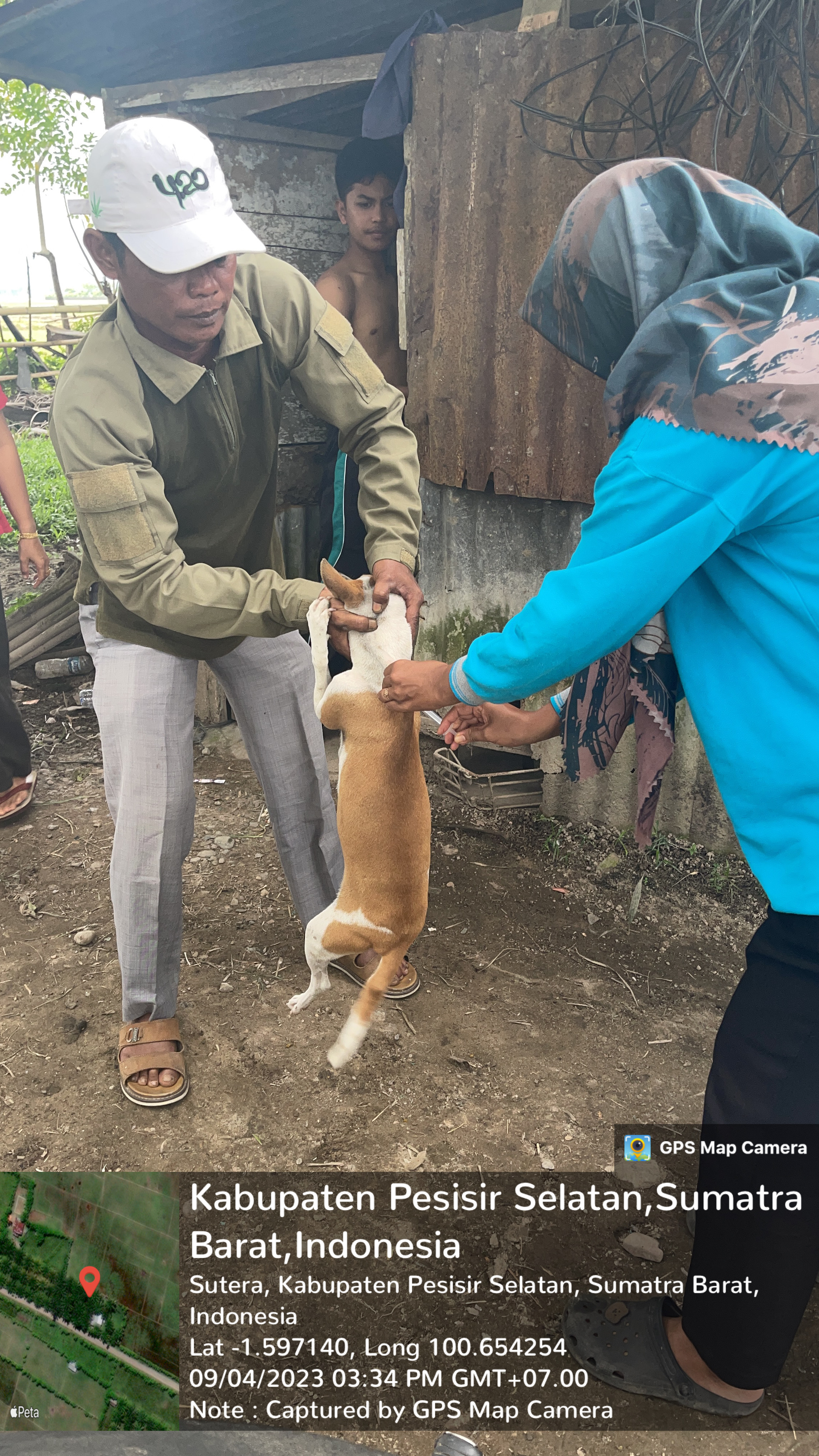 Puskeswan terpadu sutera melakukan vaksinasi rabies di nagari aur duri