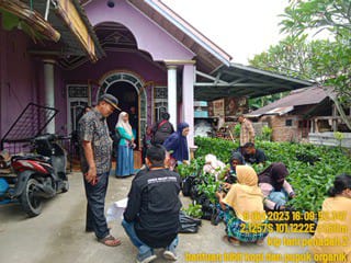 PEMERIKSAAN BIBIT KOPI KELOMPOK TANI PANADAH II