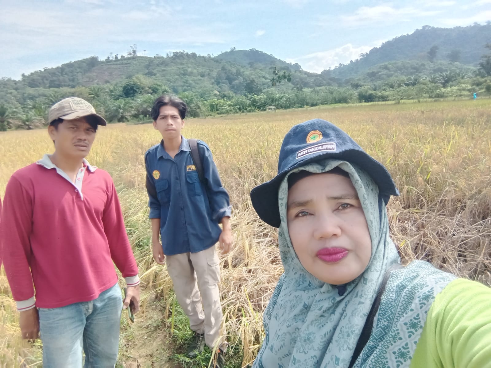 PENGAMATAN HAMA WERENG PADA TANAMAN PADI SAWAH KELOMPOK TALANG JUWA