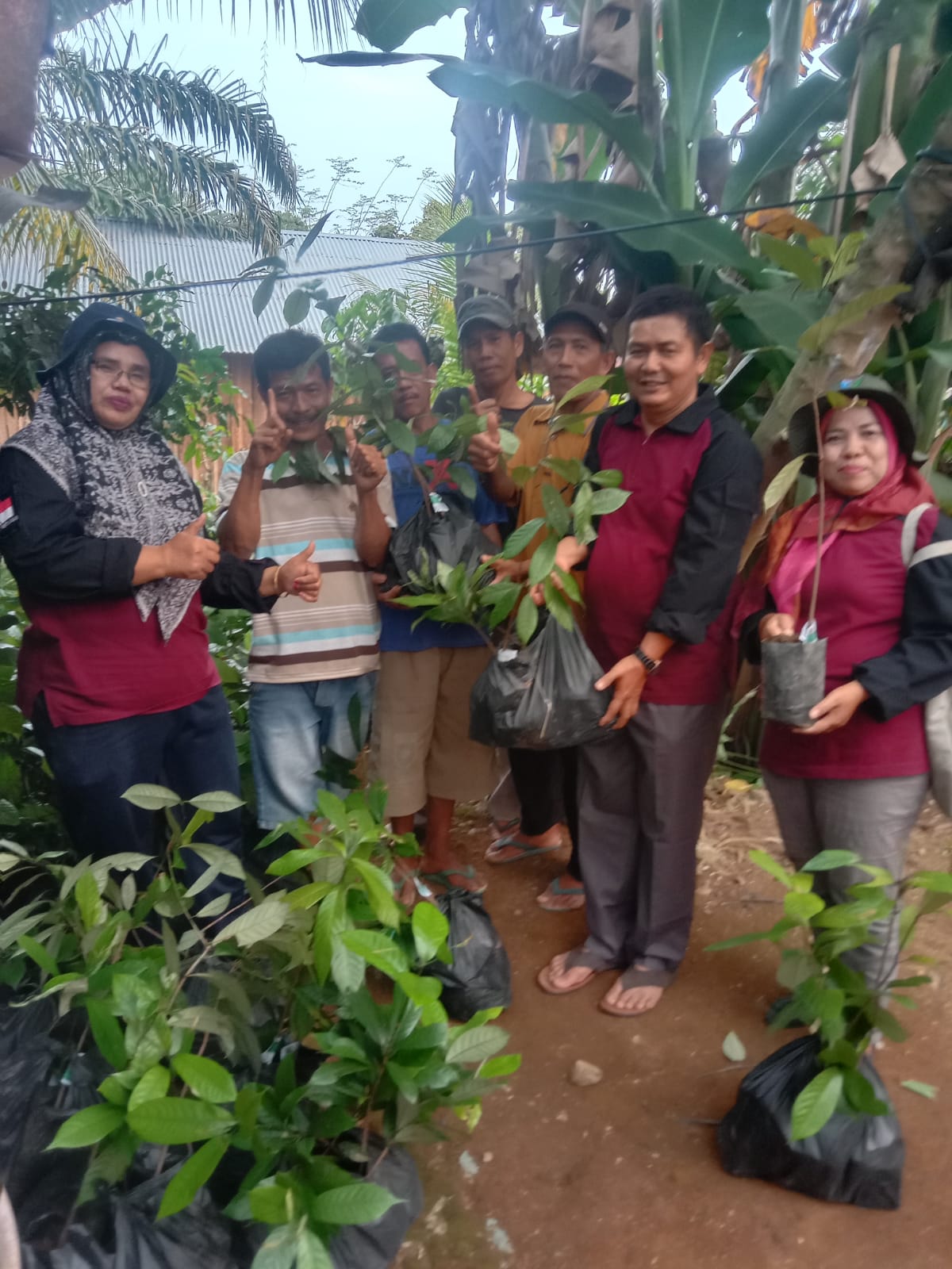 PENYERAHAN BIBIT PALA KELOMPOK TANI RAWA NAGO KOTO KANDIH