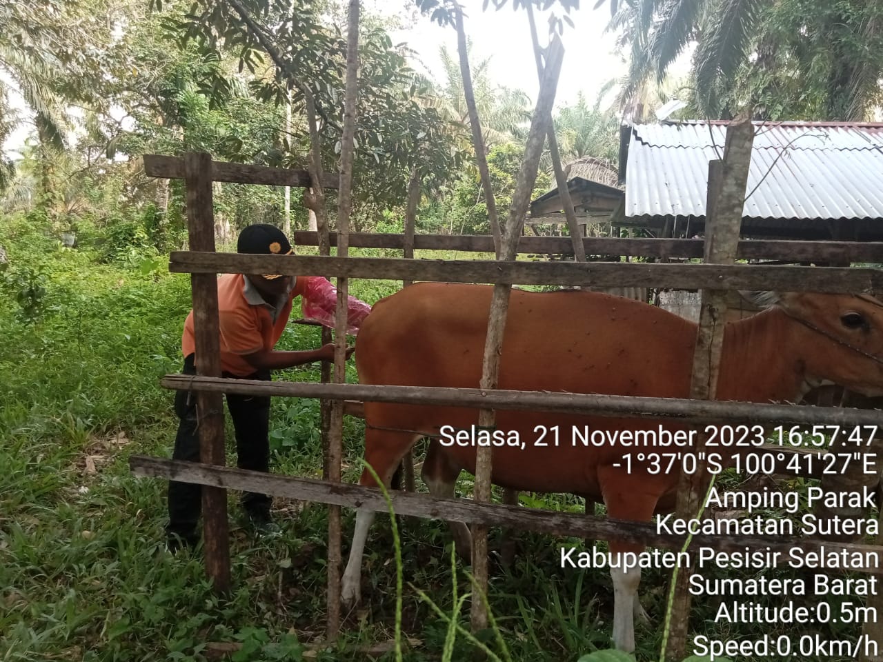 Pelayanan IB di nagari Amping Parak