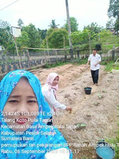 Pemamfaatan lahan pekarangan BPP Sebagai pembelajaran  penyuluh pertanian lapangan
