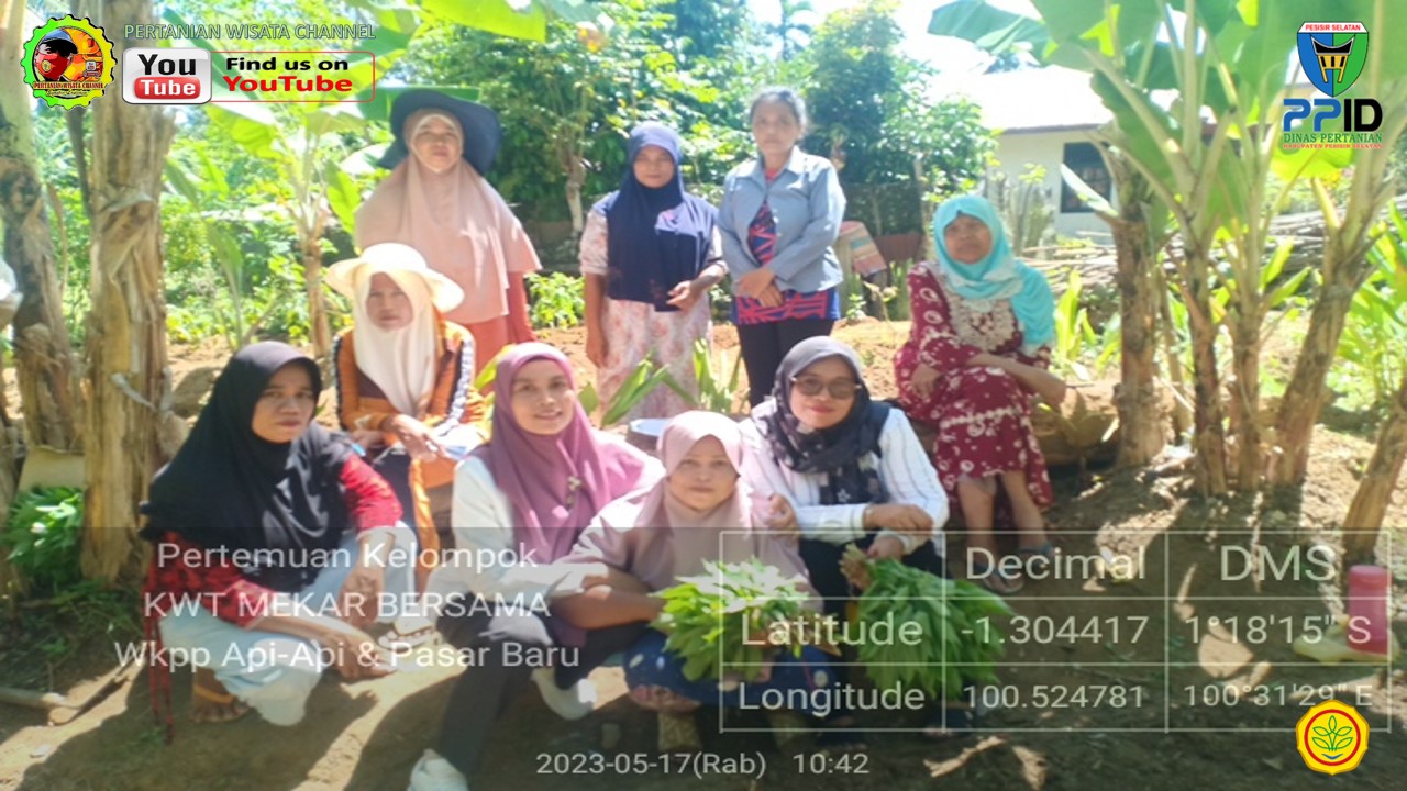 BPP BAYANG LAKSANAKAN PEMBINAAN DEMPLOT KELOMPOK WANITA TANI MEKAR BERSAMA PASAR BARU 