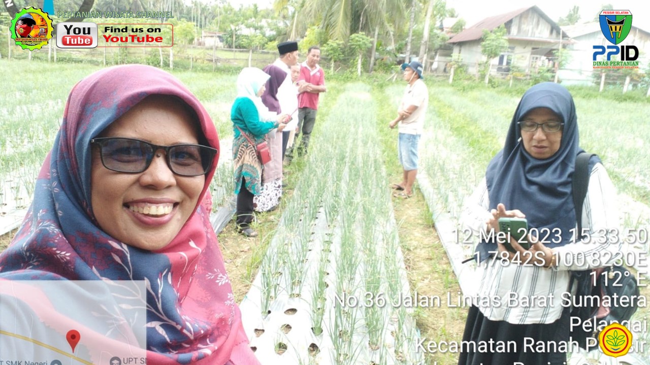 BPP RANAH PESISIR, SERTIFIKASI KOMIDITI PADA POKTAN TUNAS BARATU SAKATO NAGARI KOTO VIII PELANGAI