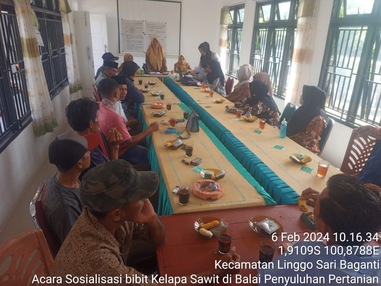 Sosialisasi Pengadaan Bibit Kelapa Sawit di Kecamatan Linggo Sari Baganti  Kabupaten Pesisir Selatan