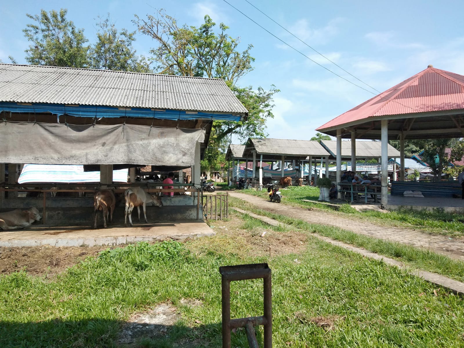 Profil Pasar Ternak Lengayang