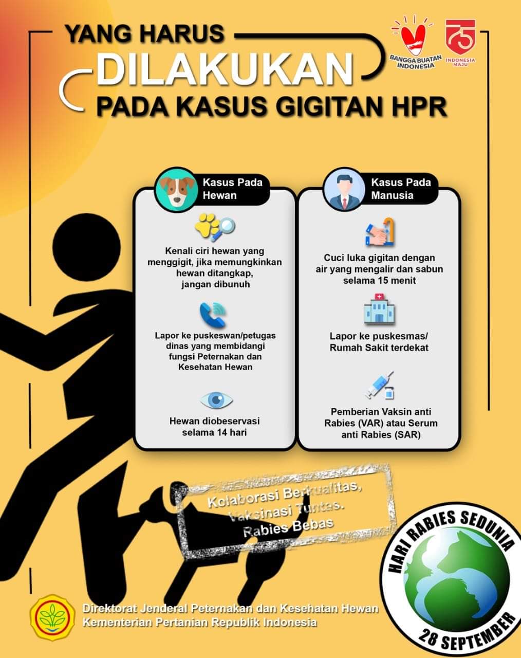 Apakah Yang Harus Dilakukan Pada Kasus Gigitan HPR?