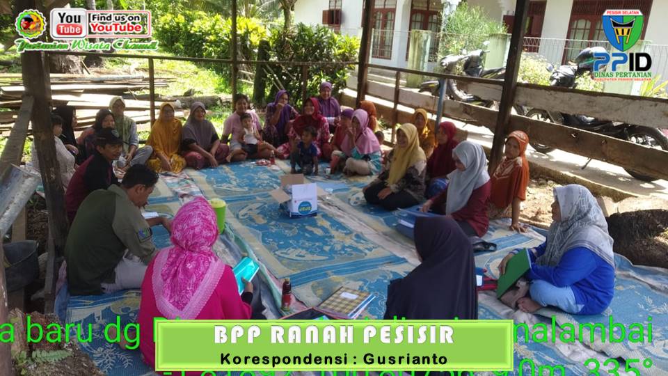 BPP RANAH PESISIR LAKUKAN CPCL KEGIATAN PROGRAM PANGAN LESTARI TAHUN ANGGARAN 2024