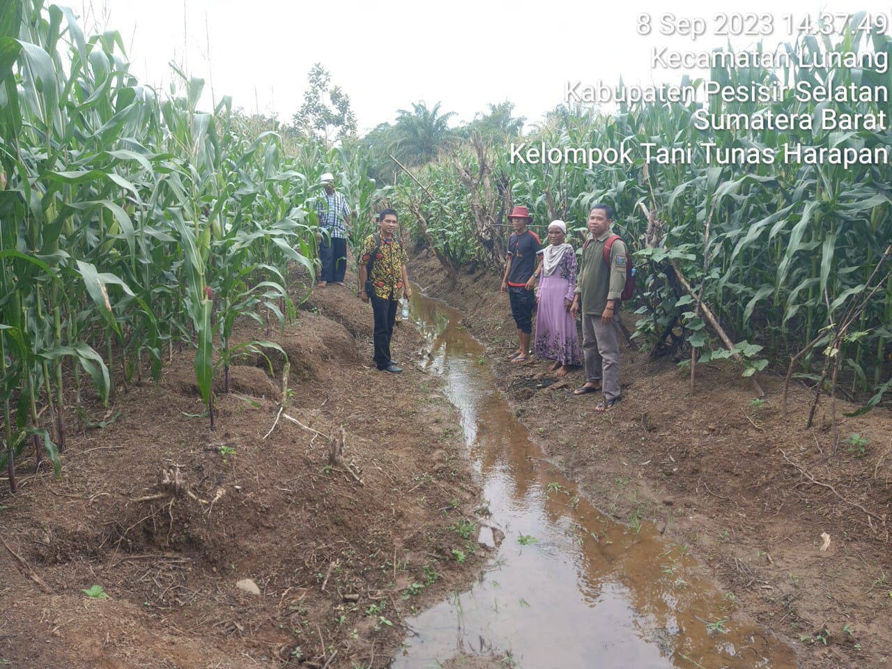Pendambingan Kegiatan Dana Ketahanan Pangan Nagari Lunang