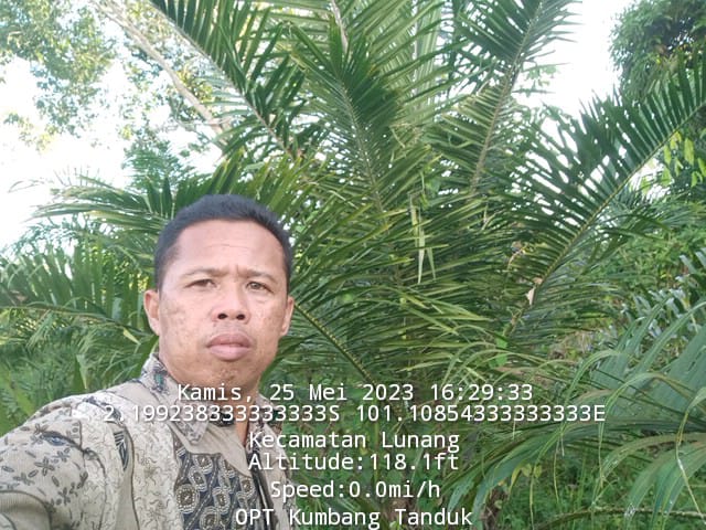 Identifikasi Organisme Pengganggu Tanaman (OPT) Kumbang Tanduk (Oryctes rhynoceros) Di Kelompok Tani