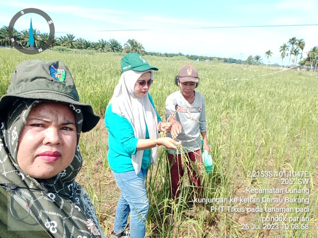 Gerakan Pengendalian Organisme Pengganggu Tanaman Padi Hama Tikus