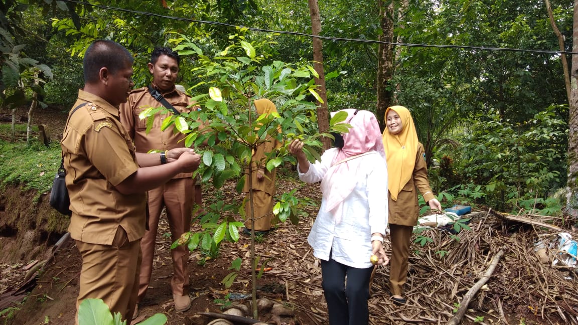 MONEV BPT PALA DAN CEMGKEH DI NAGARI NYIUR MELAMBAI PELANGAI 