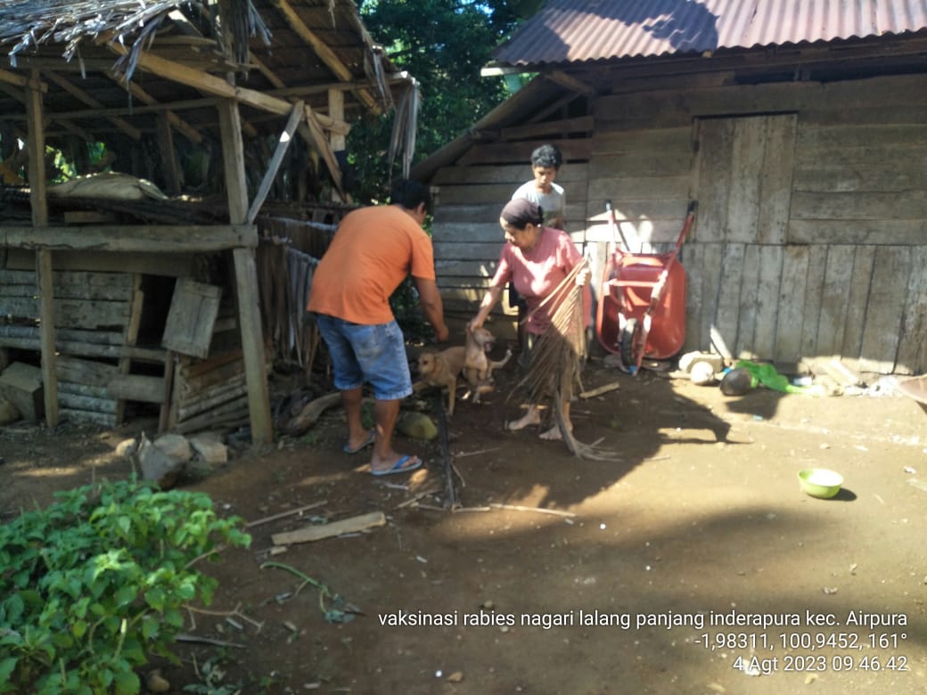 Pelayanan Vaksinasi Rabies di Nagari Lalang Panjang Kecamatan Air Pura