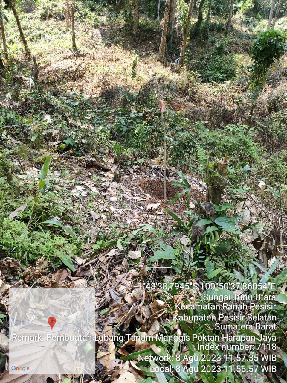 Pengembangan Tanaman Manggis Poktan Harapan Jaya, Kampung Koto Gadang, Nagari Sungai Tunu Utara, Kec