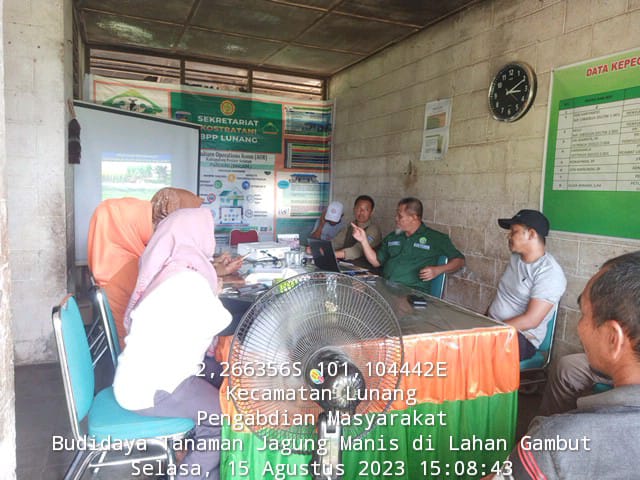 Pengabdian Kepada Masyarakat Tentang Budidaya Jagung Manis Di Lahan Gambut