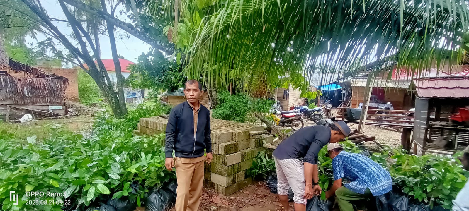 SERAH TERIMA BANTUAN BIBIT PALA DI POKTAN PINCURAN INDAH