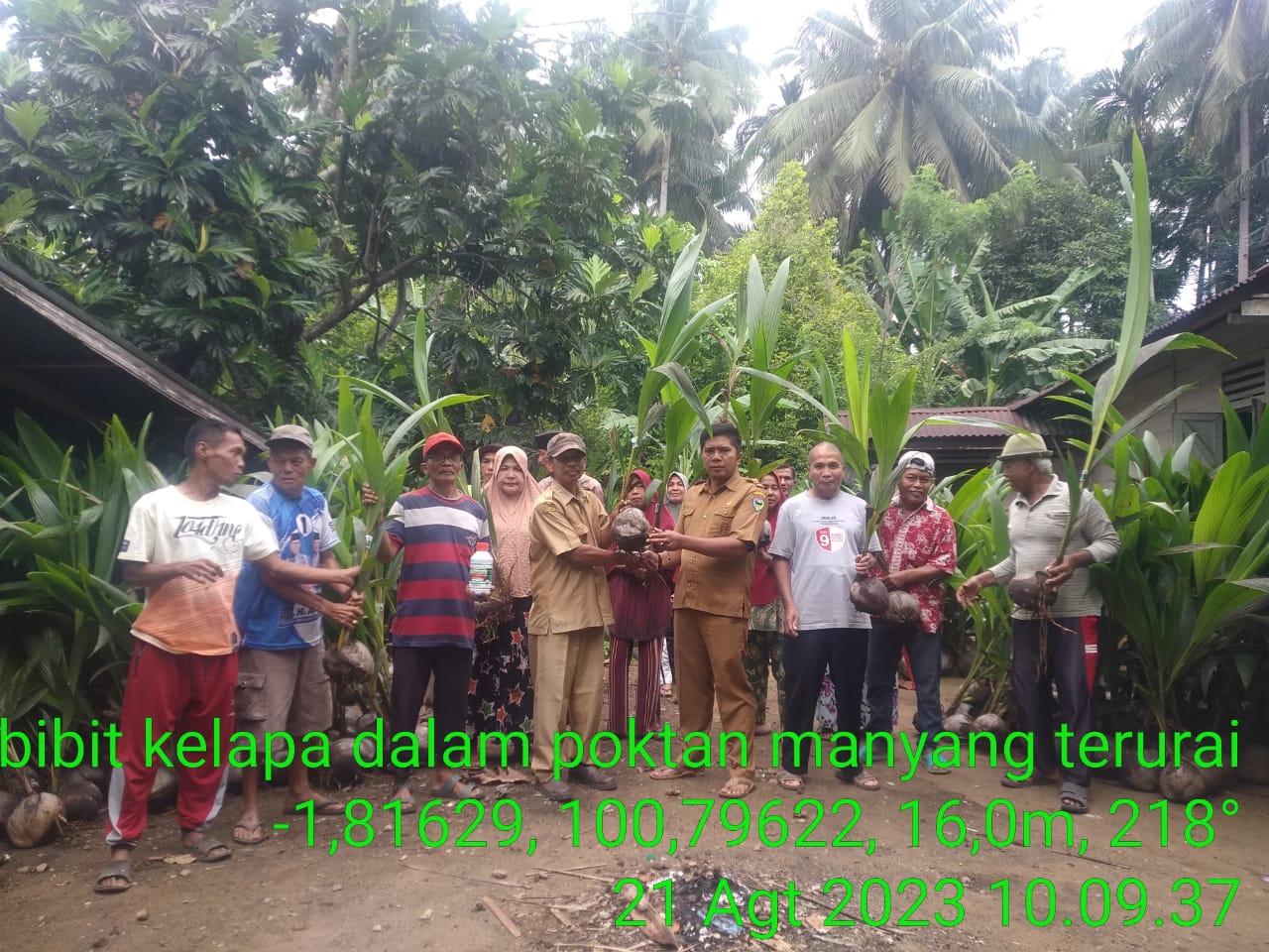 Penyerahan Bantuan Bibit Kelapa dan Pupuk Tanaman Kelapa pada Kelompok Tani Mayang Taurai