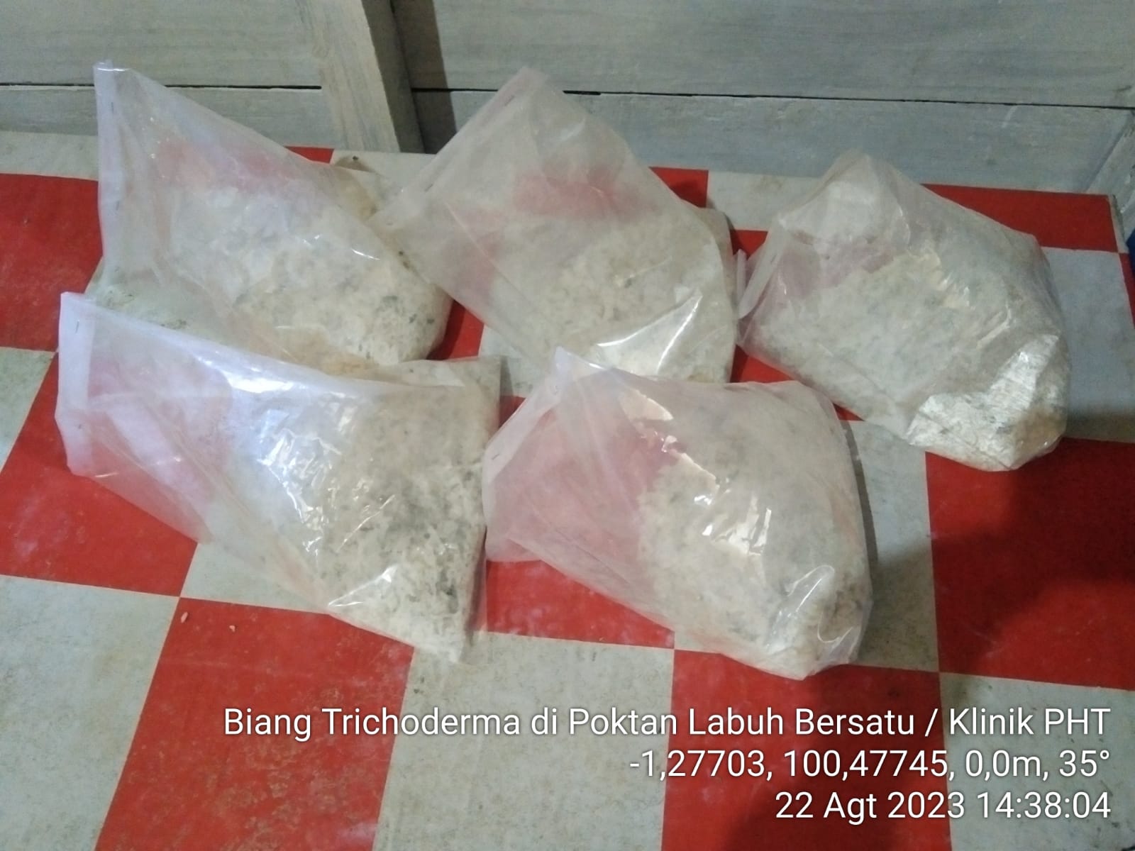 Pembuatan APH Beauveria di Klinik PHT Labuh Bersatu Nagari Kapuh 