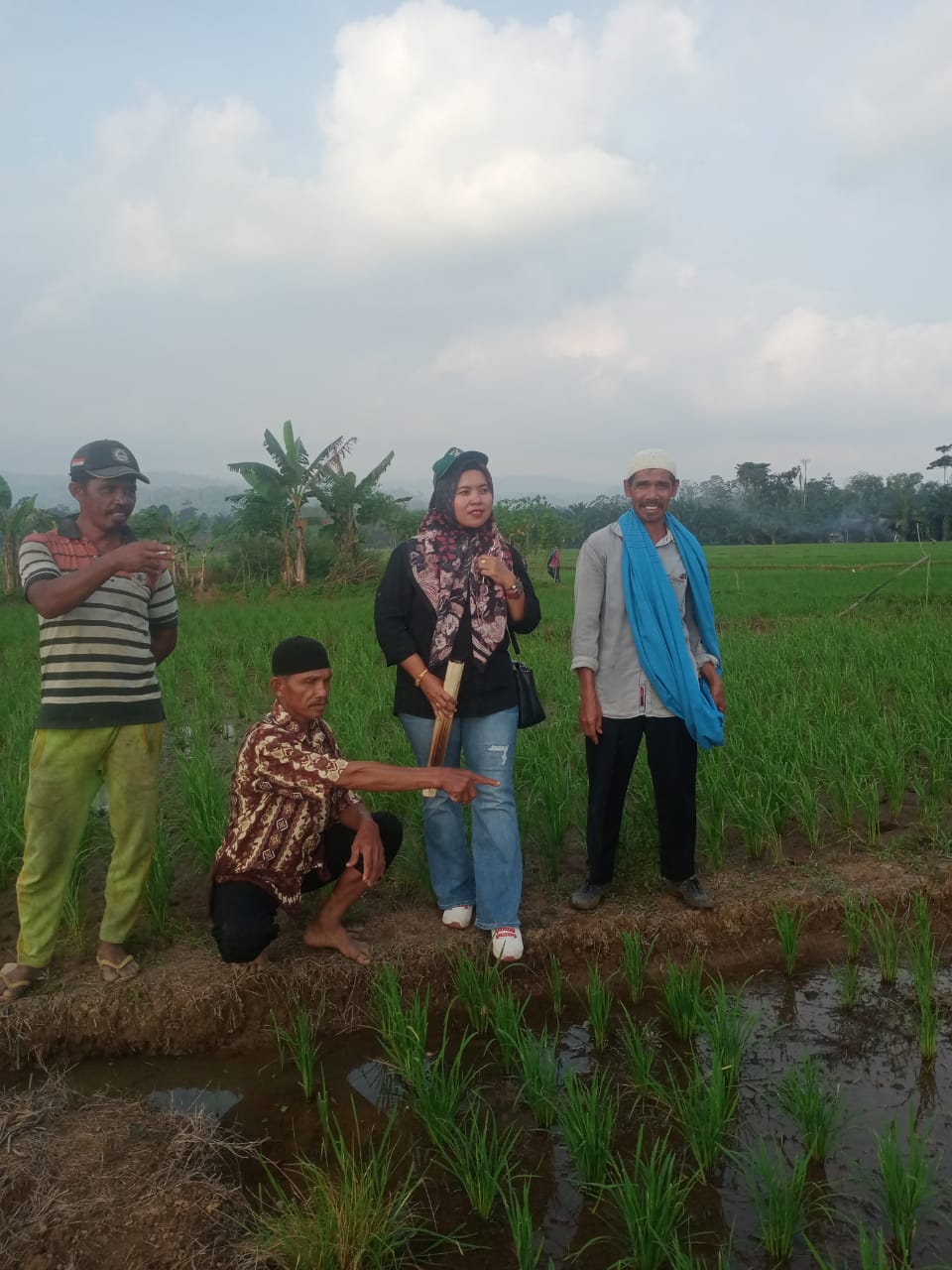 Pengandalian OPT Hama Tikus  secara serentak