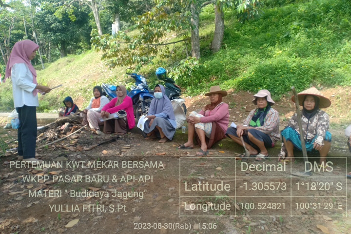 Penyuluh Pasar Baru memberikan penyuluhan Budidaya Jagung di KWT Mekar Bersama