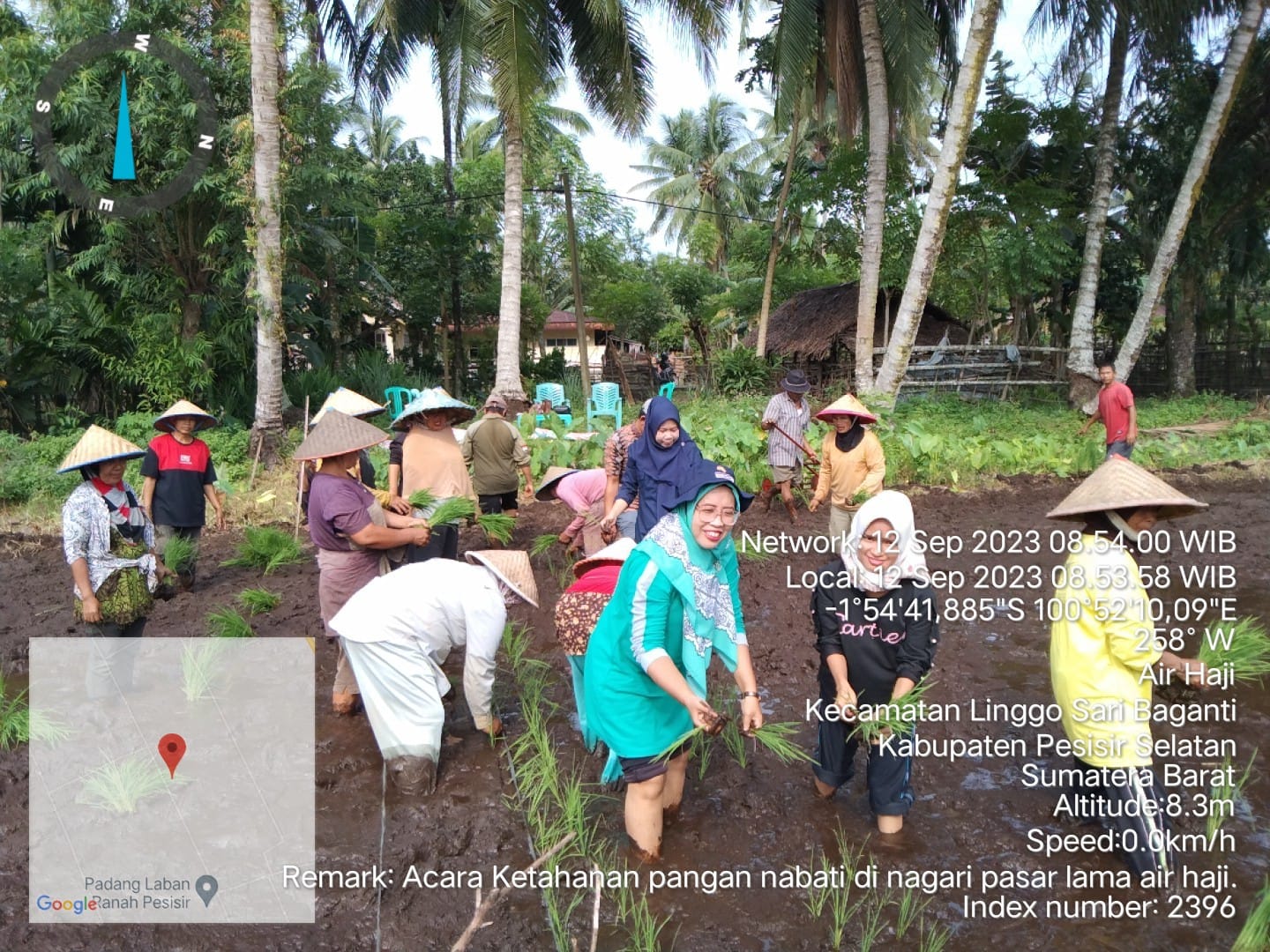 ACARA KEGIATAN KETAHANAN PANGAN NABATI DI NAGARI PASAR LAMA MUARA AIR HAJI 
