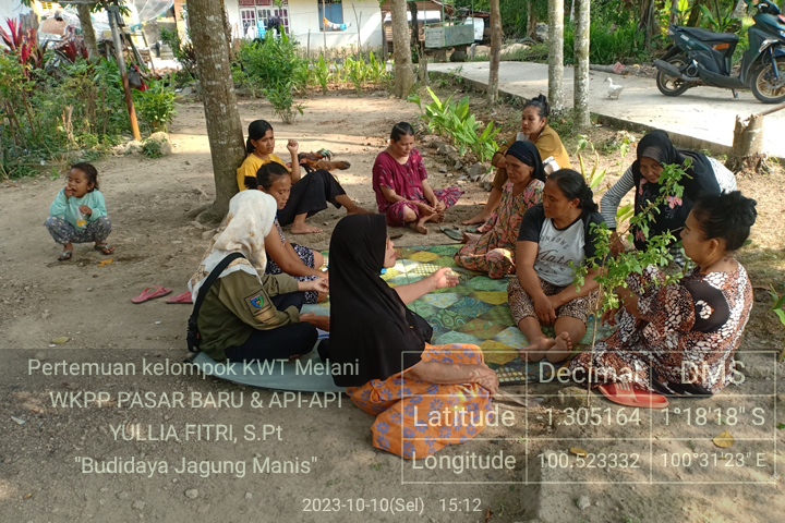 Penyuluhan budidaya jagung manis di KWT Melani Pasar Baru 