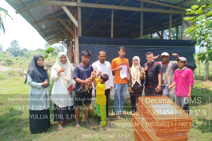 Pendampingan Penyerahan Ternak Itik Poktan Taluk Lokan Nagari Pasar Baru